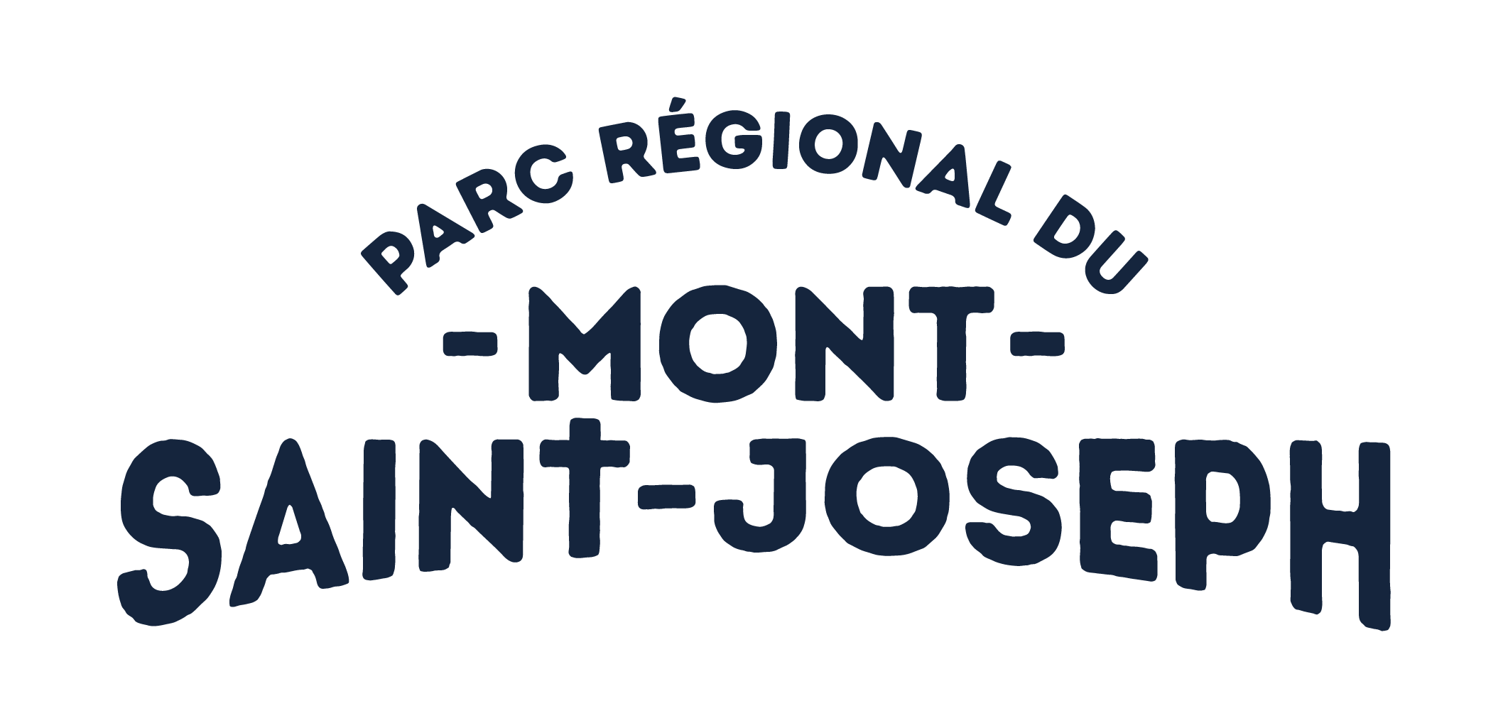 MSJ LOGO-1