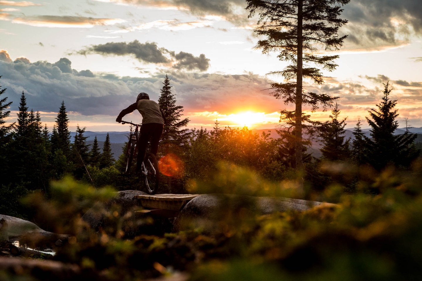 c0656ac6-e2b8-466c-a43b-aa448db91b5c